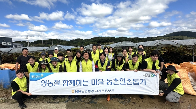 16일 NH농협생명 자산운용부 임직원들이 경기 포천시에서 농촌일손돕기를 진행했다. (사진=NH농협생명 제공)