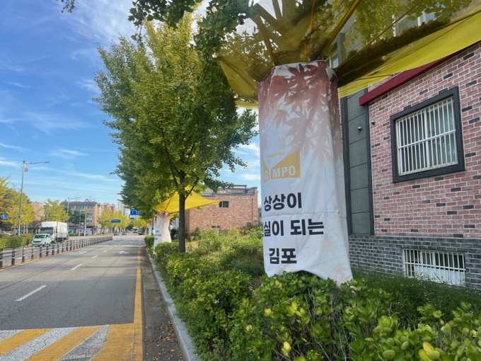 장기동 도로변에 은행나무 낙과수집기가 설치되어 있다. (사진=장기동행정복지센터 제공)
