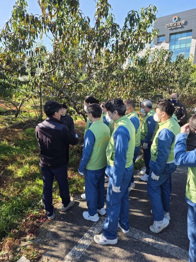 경기농협 임직원과 보라미봉사단이 일손돕기 봉사를 진행하고 있다. (사진=경기농협 제공)
