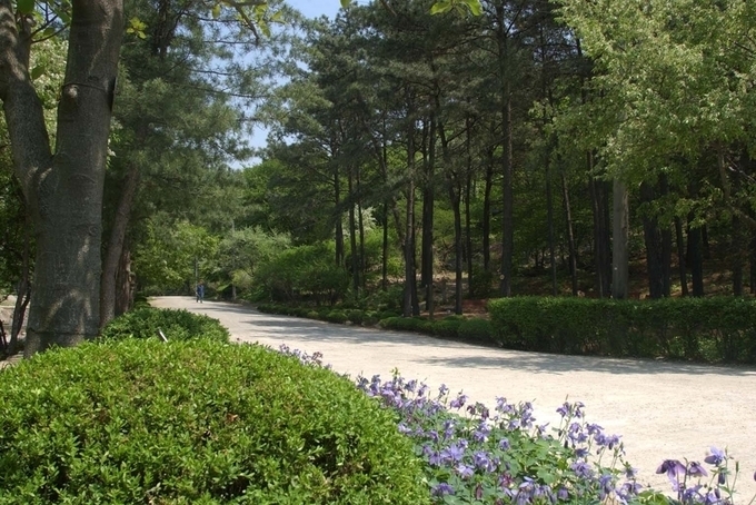 내달 5일 58년 만에 전면 개방되는 서울대 안양수목원 모습. (사진=안양시 제공) 