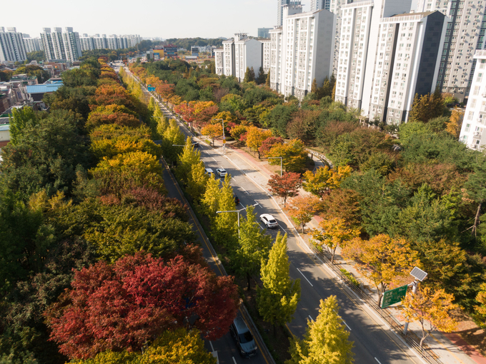 평택시 ‘국도1호선 가로숲터널’ 전경. (사진=경기도 제공)