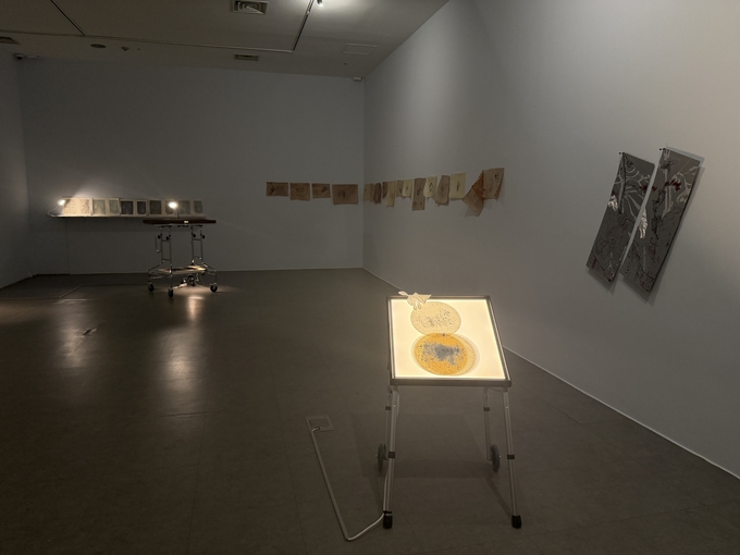 [오늘의 전시] 천연 고무액 위에 새긴 하트, 사라짐과 생존의 경계를 말하다