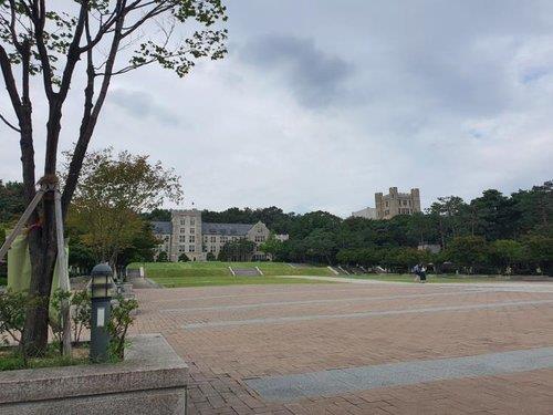한산한 고려대 캠퍼스 (사진=연합뉴스/자료사진)
