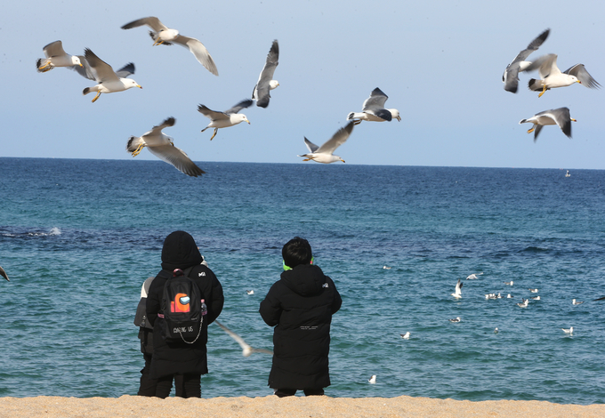 봄맞이 나온 관광객. (사진=연합뉴스 제공)