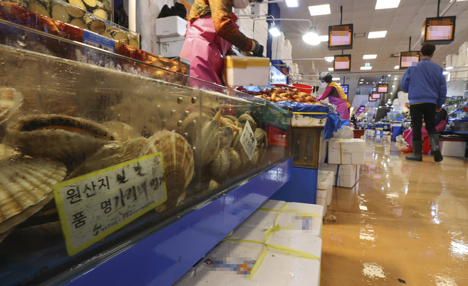 후쿠시마 오염수 방류 결정, 우리 국민의 안전은? (사진 = 연합뉴스 제공)