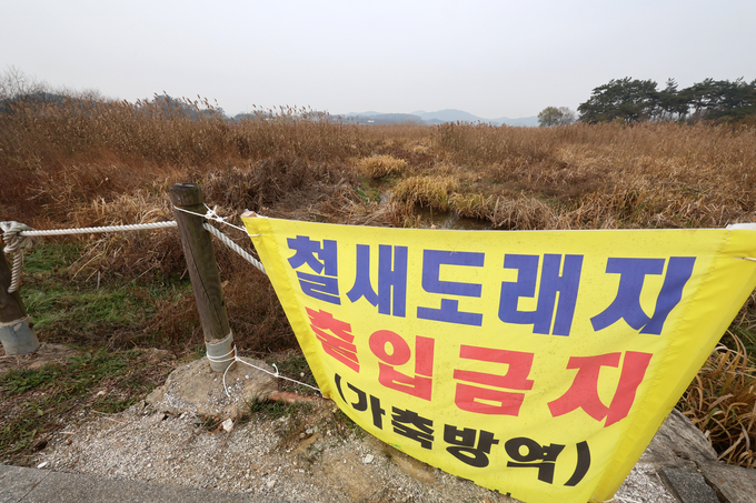 출입 통제된 철새도래지 ( 사진 = 연합뉴스 제공 )