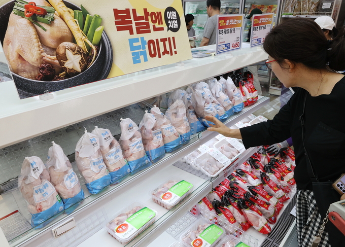 한 대형마트에서 시민들이 삼계탕용 닭을 고르고 있다. (사진=연합뉴스 제공)